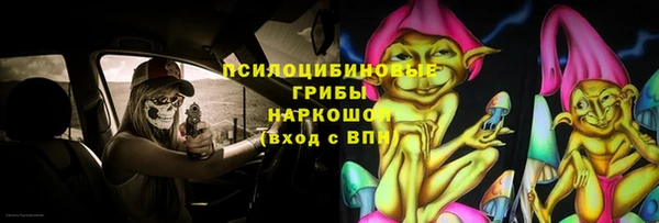 тгк Бронницы