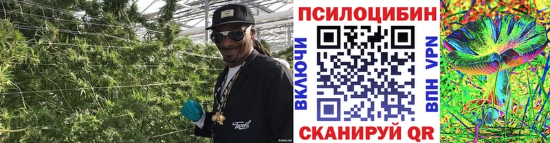 Псилоцибиновые грибы Magic Shrooms  Гдов 